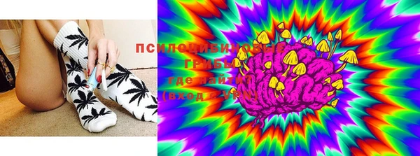 ECSTASY Богданович
