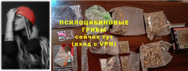 ГАЛЛЮЦИНОГЕННЫЕ ГРИБЫ Богородицк