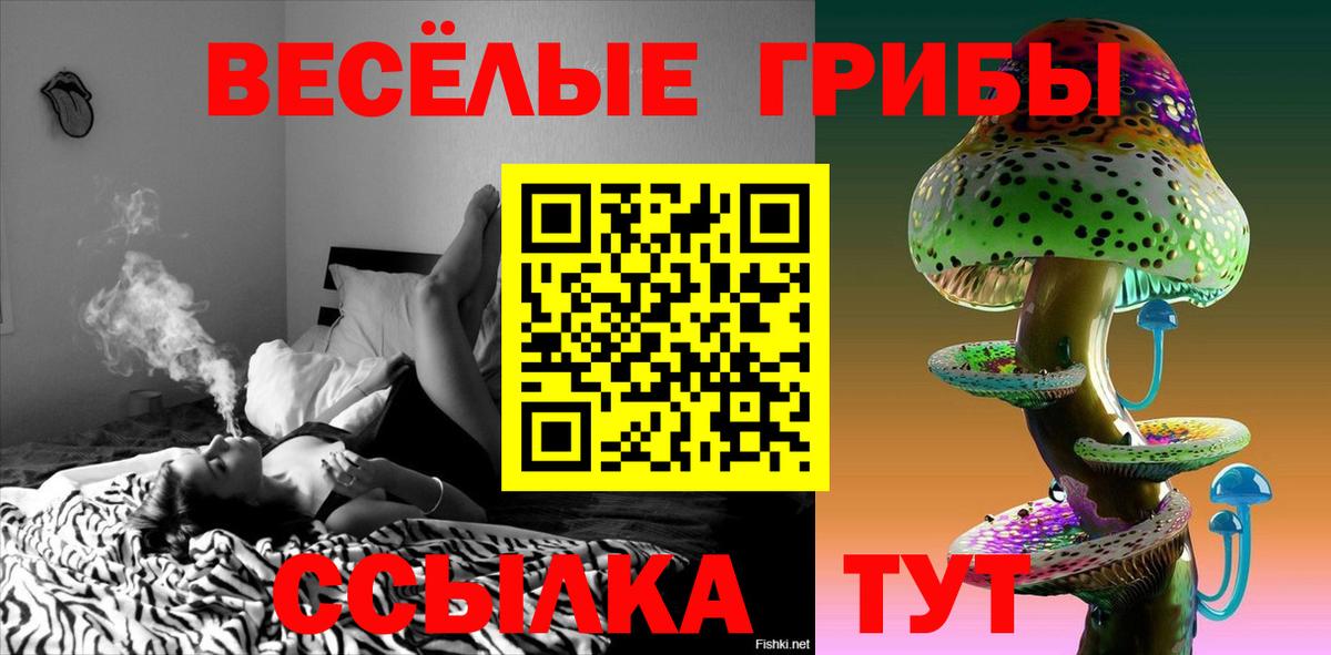 Орск  где купить наркоту  Вход с VPN  Псилоцибиновые грибы GOLDEN TEACHER 