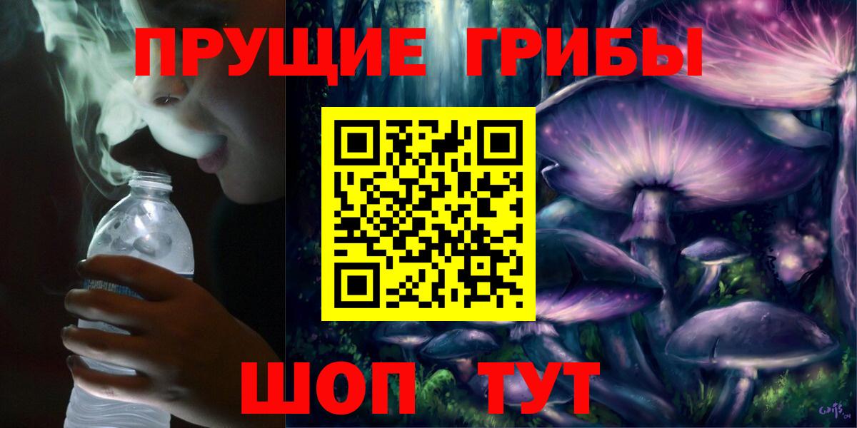 Галлюциногенные грибы Psilocybine cubensis Орск