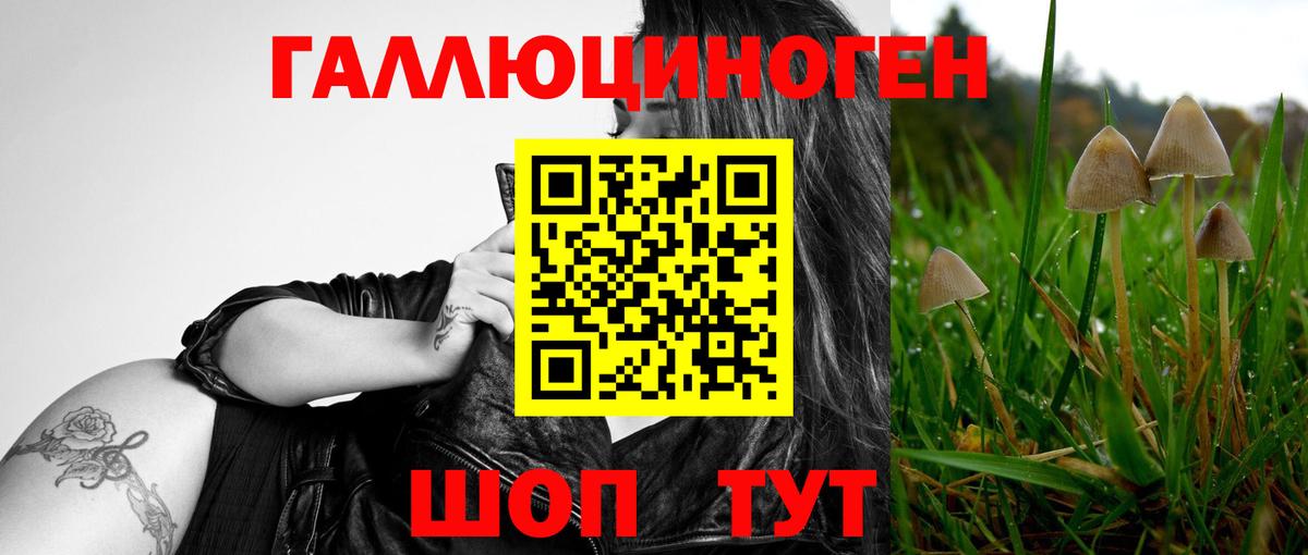 Псилоцибиновые грибы мухоморы  Орск  Псилоцибиновые грибы MAGIC MUSHROOMS 